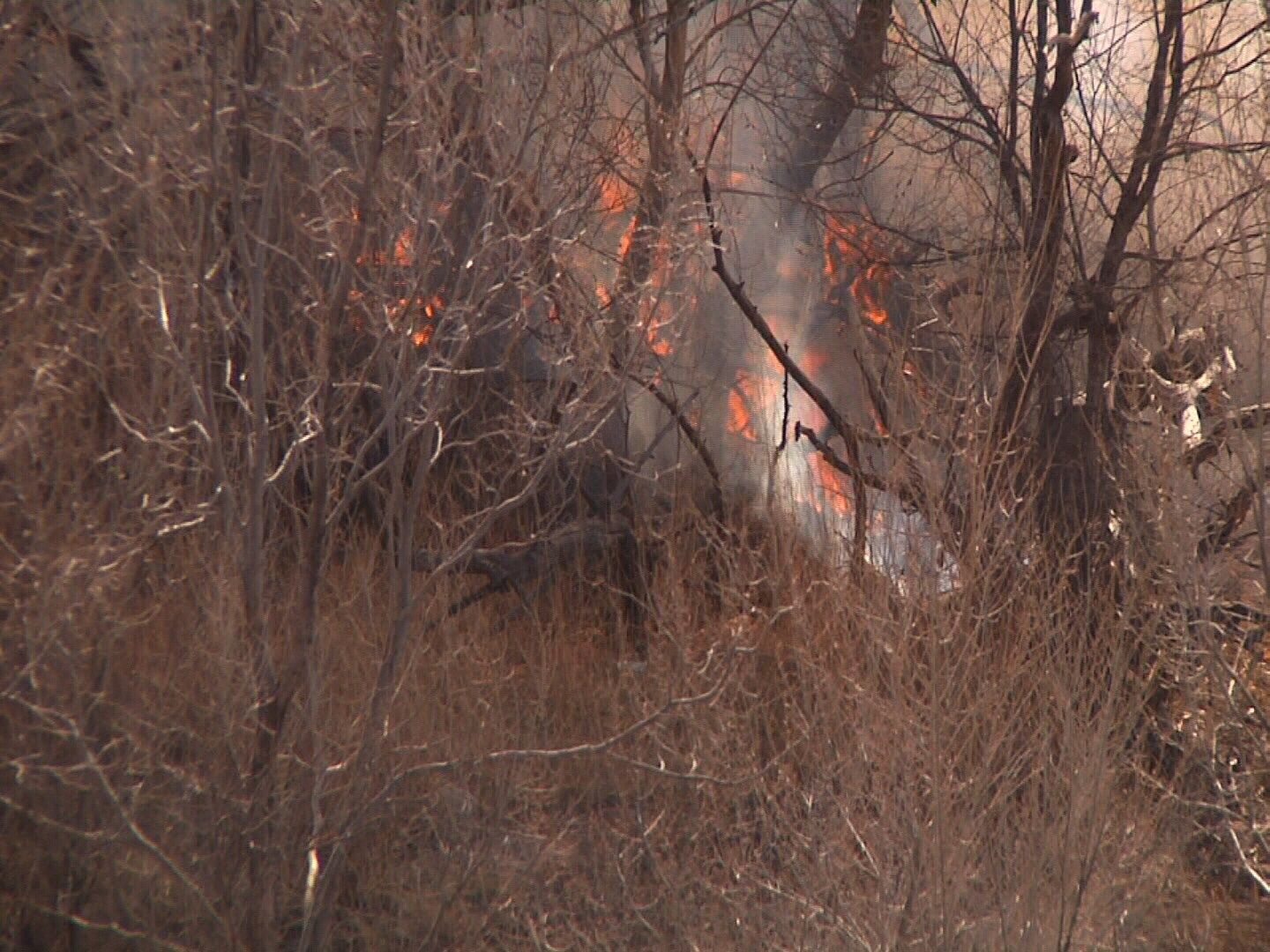 Burn restrictions were put into place in Colorado Springs on Friday, March 17. (KOAA)