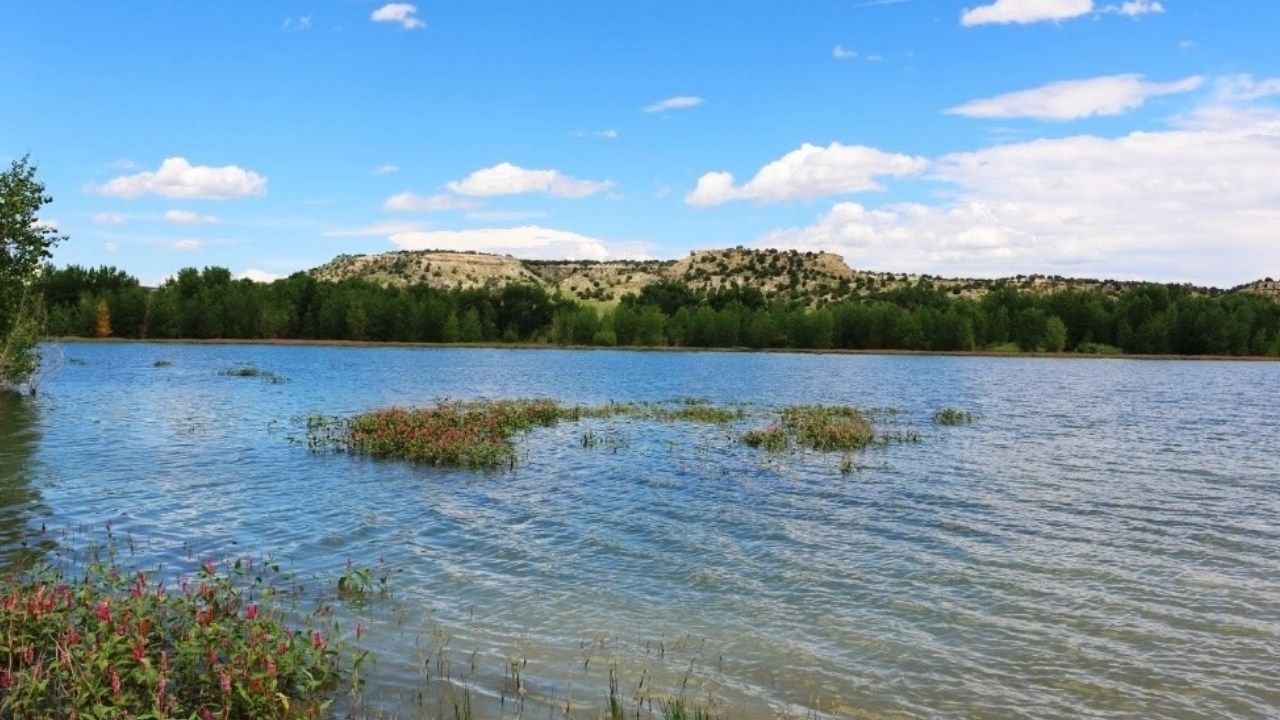 Home Continuous News Colorado Springs and Pueblo