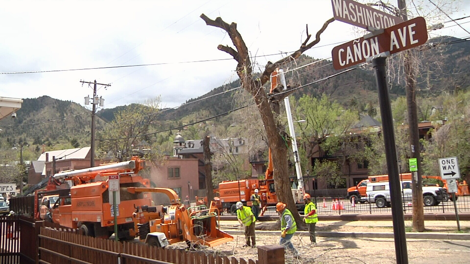 Trees in Manitou cut down after protest - KOAA.com Colorado Springs and ...